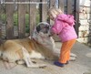 VIDEO - Filmati AFFIDABILITA' CON I BAMBINI dei miei cani da Pastore dell'Asia Centrale